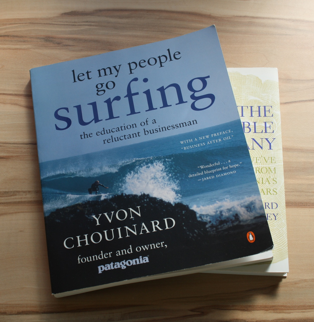Buchempfehlung: Let My People Go Surfing